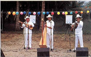 Veracruz musicians